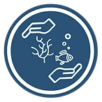 Ocean friendly